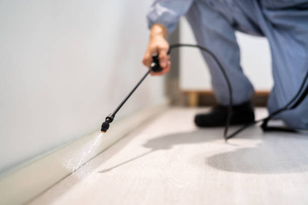 Licensed Termite Control service in Winter Springs, FL - Show Me Pest Control